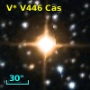 V* V446 Cas