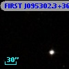 FIRST J095302.3+361635
