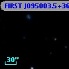 FIRST J095003.5+361516