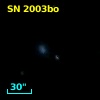 SN 2003bo