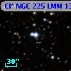 Cl* NGC  225    LMM      13