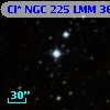 Cl* NGC  225    LMM      36