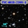 TYC 4019-2388-1