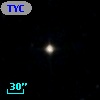 TYC 1966-91-1