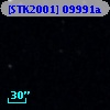 [STK2001] 09991a