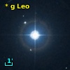 * g Leo