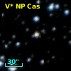 V* NP Cas