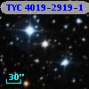 TYC 4019-2919-1