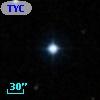 TYC  834-299-1