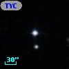 TYC  831-889-1