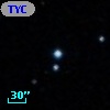 TYC  834-239-1