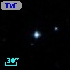 TYC  831-499-1