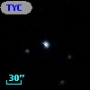 TYC  831-1061-1
