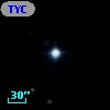 TYC  835-989-1