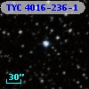 TYC 4016-236-1