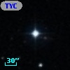 TYC  831-203-1