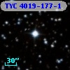 TYC 4019-177-1