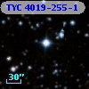 TYC 4019-255-1