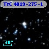 TYC 4019-275-1