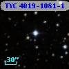 TYC 4019-1081-1