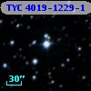 TYC 4019-1229-1