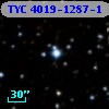TYC 4019-1287-1