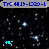 TYC 4019-1329-1