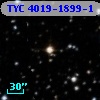 TYC 4019-1899-1