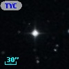 TYC  828-436-1