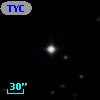 TYC  829-436-1