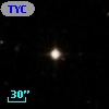 TYC  829-975-1