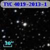 TYC 4019-2013-1