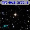 TYC 4019-2572-1