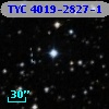 TYC 4019-2827-1