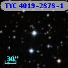 TYC 4019-2878-1