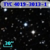 TYC 4019-3013-1