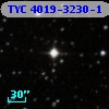 TYC 4019-3230-1