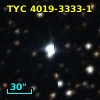 TYC 4019-3333-1