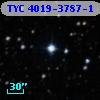 TYC 4019-3787-1