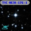 TYC 4020-176-1