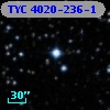 TYC 4020-236-1