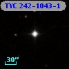 TYC  242-1043-1