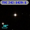 TYC  242-1429-1