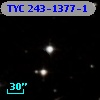 TYC  243-1377-1