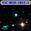 TYC 4020-1053-1