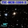 TYC 4020-1164-1
