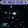 TYC 4020-1239-1
