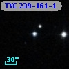 TYC  239-181-1