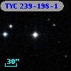 TYC  239-198-1