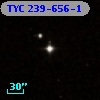 TYC  239-656-1